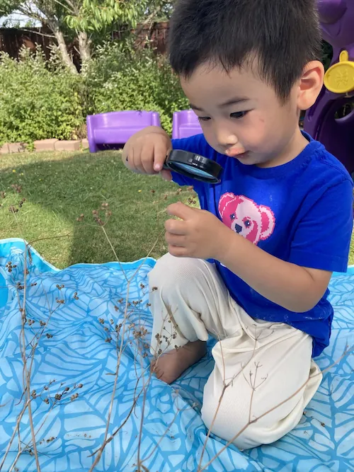 preschool boy using a magnifying glass to inspect a green plant, encouraging early scientific exploration.