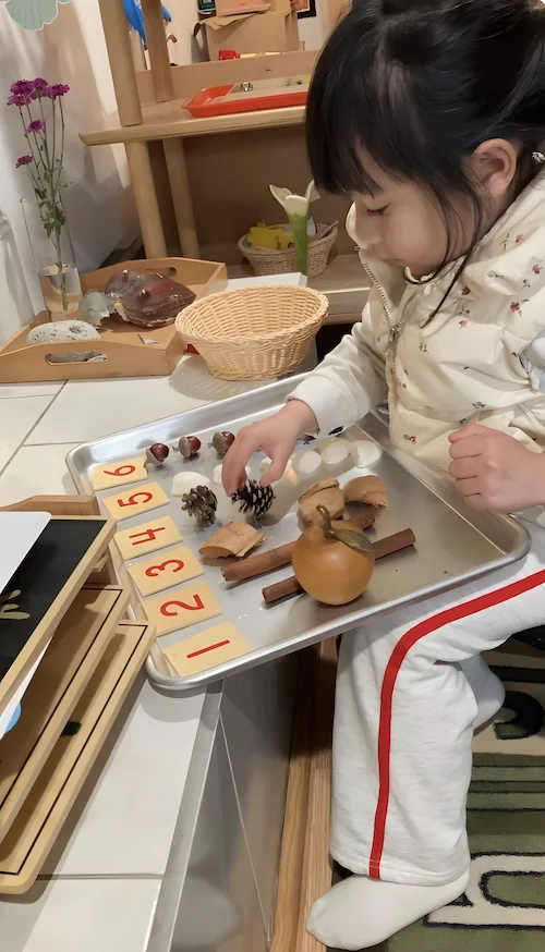 A child classifying and sorting educational wooden objects by size and color on a low shelf.